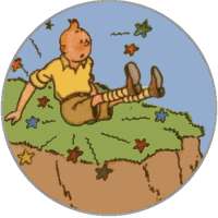 Tintin caido